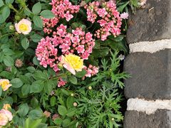 -瓦库茶馆17号(海汇港店)