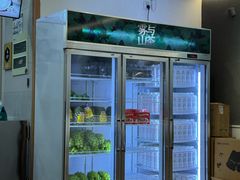 -雾与山茶(大禹城店)