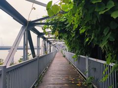 -星海湾跨海大桥