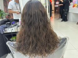-FINE HAIR 烫染专业设计