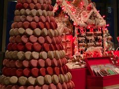 -The lounge 柏悦酒店大堂酒廊(上海环球金融中心店)