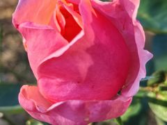 -韶关经律论国际酒店温泉