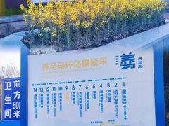 -养马岛旅游度假区