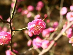 -紫竹院公园冰场