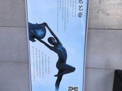 -中央芭蕾舞团·中芭艺蕾(酒仙桥明星校区)