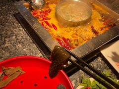 -二荆条·蜀鲜汇城市森林火锅