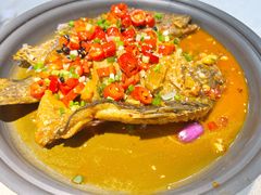 -洞庭家宴·头牌甲鱼(广渠门店)