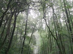 -虎跑公园