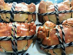 -乡乐园蟹庄·阳澄湖农家乐