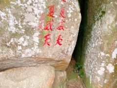 -亚龙湾热带天堂森林公园