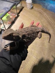 -酷嗒动物文化乐园(cutezoo西溪乐天城店)