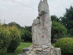 -云岗森林公园