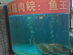 -红日饭店(裕隆三路店)