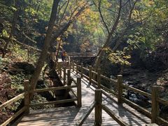-本溪汤沟绿石谷森林公园