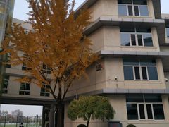 -北京四中(道元校区)