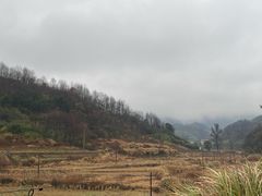-东白山