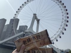 -天津之眼摩天轮