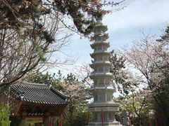 -海东龙宫寺