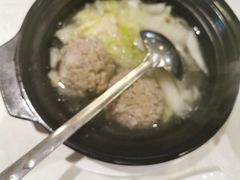 -丁老爷子苏香圆