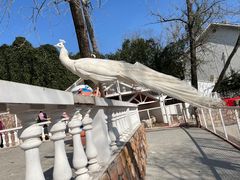 -金庭庄园酒店-停车场