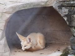 -灵玲国际马戏城