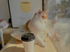 -W Coffee(船板巷店)