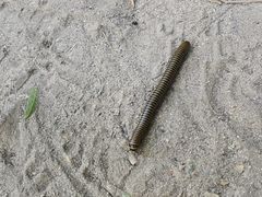 -碓臼峪自然风景区