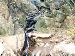 -藏龙百瀑风景区