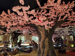 -蓝鲸湾汤泉(包河店)