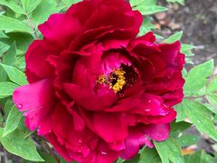 -江南大学(蠡湖校区)