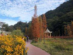 -广州市石门国家森林公园