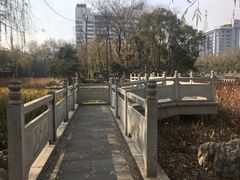 -莲湖公园