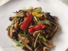 黑纵菌炒鸡柳-聚福生态农庄