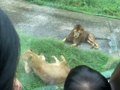 -西安秦岭野生动物园