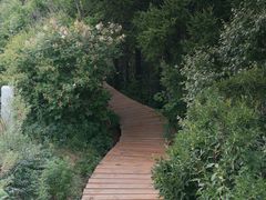 -白草畔自然风景区