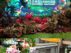 -正佳雨林生态植物园