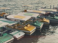 -济南国际园博园