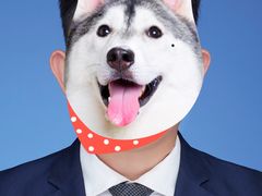 -微笑时刻照相馆·企业合影·商务外拍(北京五道口店)