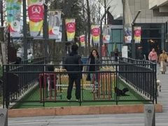 -瑞鹏宠物医院·眼科·皮肤·中兽医(大悦城分院)