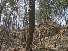 -黔灵山公园
