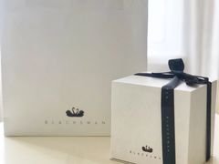 -BLACKSWAN黑天鹅(环球店)