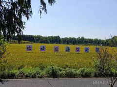 -广富林郊野公园