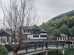 -旺山景区