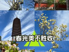 -西海子公园