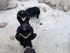 -青峰峡国家森林公园