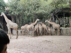 -长鹿旅游休博园