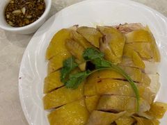 正宗白切鸡-巫记鸡饭店