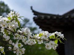 -柳氏民居