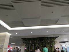 -北京大学第一医院(西城厂桥院区)