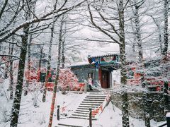 -崂山巨峰游览区